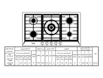 مشخصات گاز نیک کالا SGH101